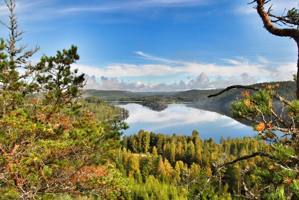 Foellingen Hotell Kisa المظهر الخارجي الصورة